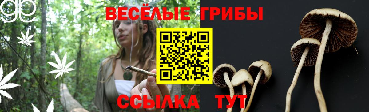 где купить наркоту  Псилоцибиновые грибы MAGIC MUSHROOMS  Вход с VPN  Ипатово 